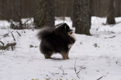 Rada-2019.03.02главная